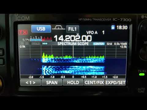 Icom IC-7300 audio on SP-38 External Speaker