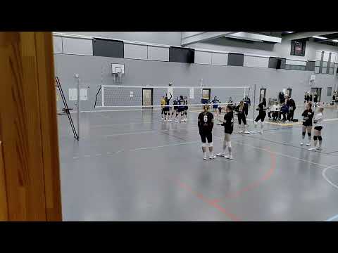 Mävi- Cats 14.1.2023