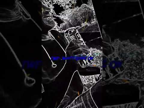 Kenwood The Goodest and J-honcho [TWF]🌲- What's Going On