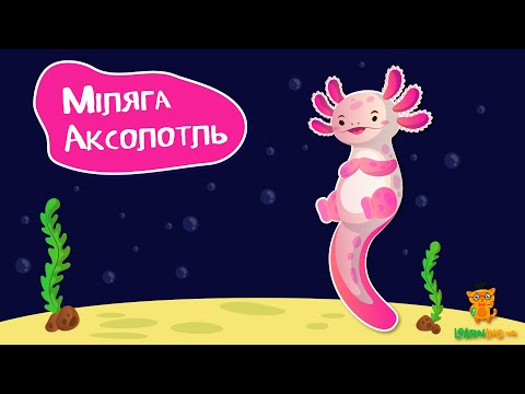 Дива природи. Явища навколо нас. Неймовірні Аксолотлі