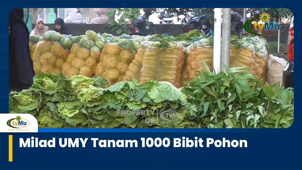 Peringati Milad ke-44, UMY Tanam Seribu Pohon di Lingkungan Kampus