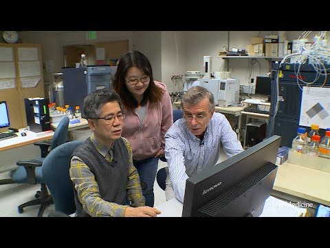 download lagu mp3 mp4 Foods That Produce Melatonin, download lagu Foods That Produce Melatonin gratis, unduh video klip Foods That Produce Melatonin