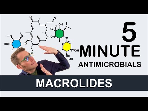 Macrolides - 5 Minute Antimicrobials