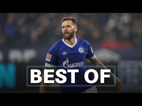 Best of Goals | Guido Burgstaller | FC Schalke 04