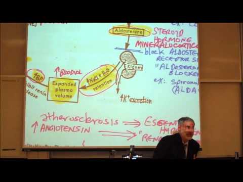 Urgence du problème dune crise hypertensive Lhypertension dans le traitement des adultes