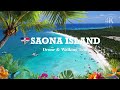The Best Beach On Saona Island That Beats All Dominican Republic Shores Here S What I Found
