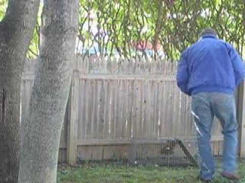 Trotsky Saves A Squirrel