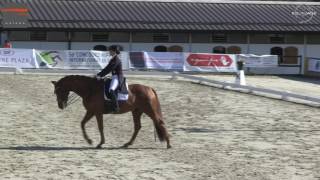 Sélection suisse des JEM de Tryon