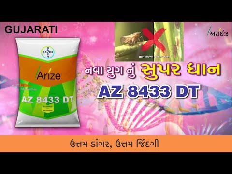 Gujarati_Arize_Product Info