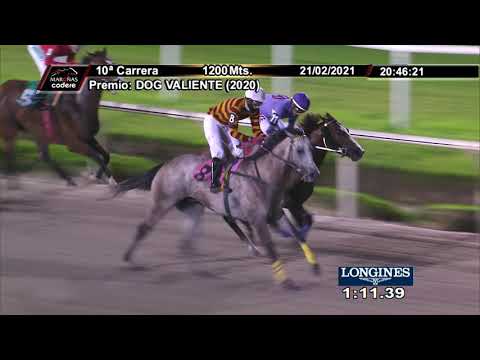 210221 c10 FORESTER P