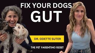 Fix Your Dogs Gut Microbiome