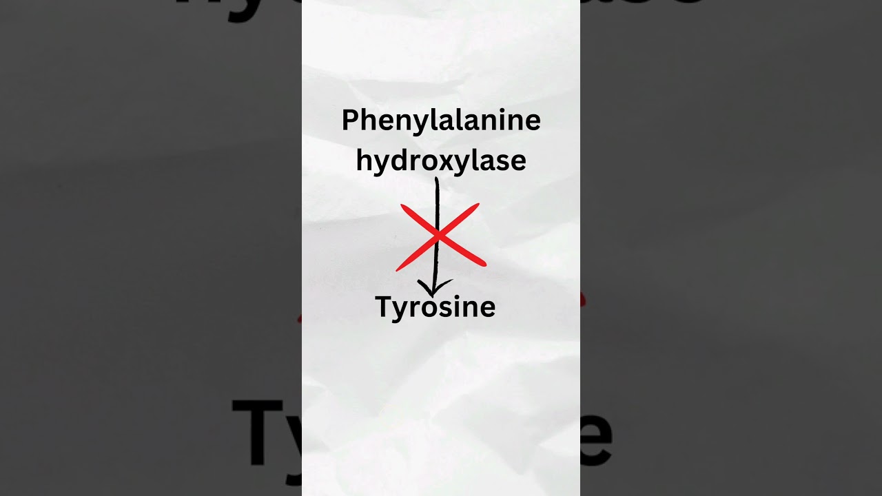 Phenylketonuria | Class 12 Genetics #neet #biology #shorts