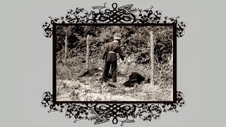 Cheloo - Statul e tarfa cu care esti obligat sa te-nsori