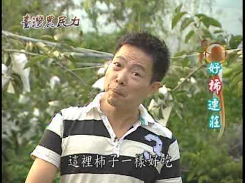 台灣農民力-第004集 甜 柿