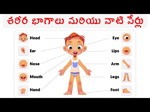 శరీర భాగాలు మరియు వాటి పేర్లు ||Body Parts for Kids |Telugu Pre School Videos - Kids Learning Videos