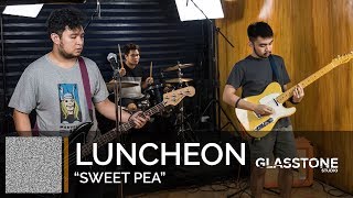 Luncheon "Sweet Pea" Live at Glasstone Studio