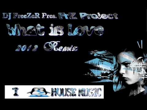 DJ FreeZeR Pres. FrZ Project - What is Love 2012 Remix