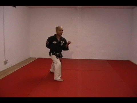 CASA DE KENPO - AMERICAN KENPO - SHORT FORM 3