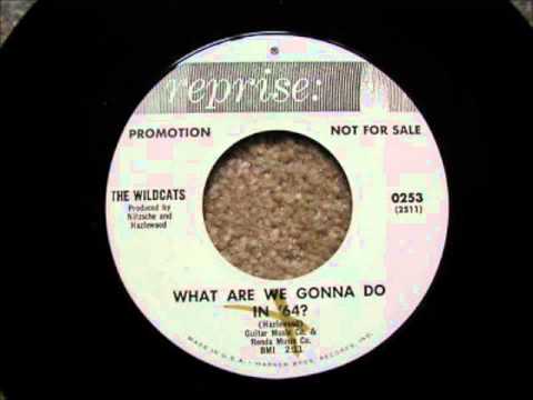 The Wildcats - What Are We Gonna Do In '64?