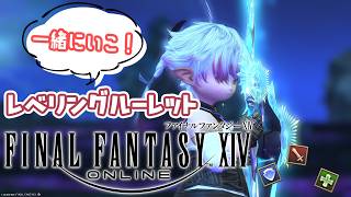 【FF14】　＃53　一緒にいこ！！レベルレ・討伐討滅戦・ノーマルレイド！　～エオルゼアの旅～　＃ネタバレ注意【Vtuber】
