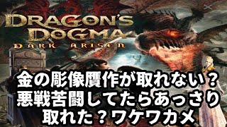 (2) DDDA ドラゴンズドグマダークアリズン