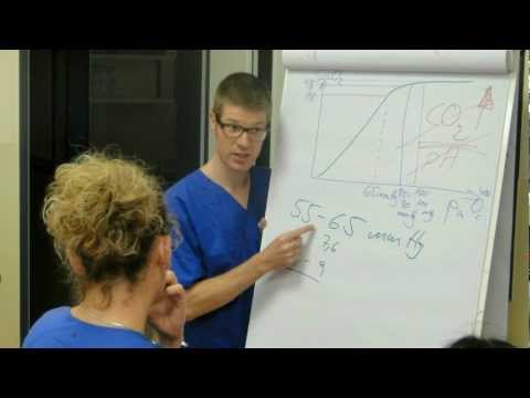 Grundlagen der Beatmung (BEA) - Rückblick 2012