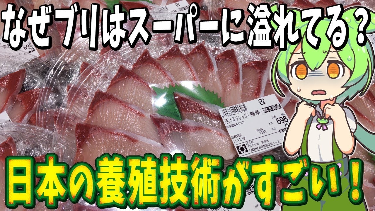 生物の謎7選！マグロもフグも無毒で食べ放題！？最先端“養殖技術”がすごい！【総集編】