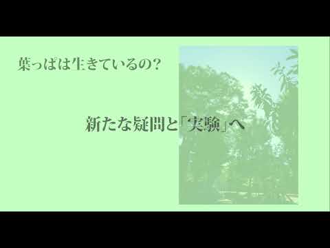 【福島大学 人間発達文化学類】②保育場面から見る幼児理解「新たな教師の学び」に対応したオンライン研修コンテンツ開発事業