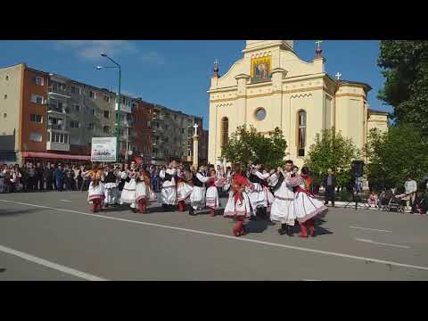 Ansamblul "Doina Crisului"Ineu