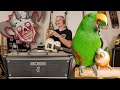 Boss Katana Mkii Dethklok Guitar Tone Sweeps Pickings Lesson