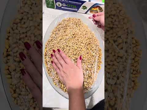 COMO FAZER NATO CASEIRO , SOJA FERMENTADA RICA EM K2