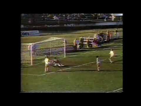 Palmeiras 1 x 1 América-SP - Campeonato Paulista ...