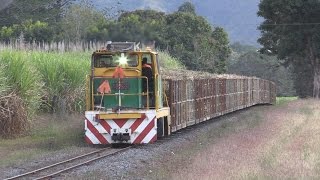 preview picture of video '2' gauge cane train : Australian Railways'