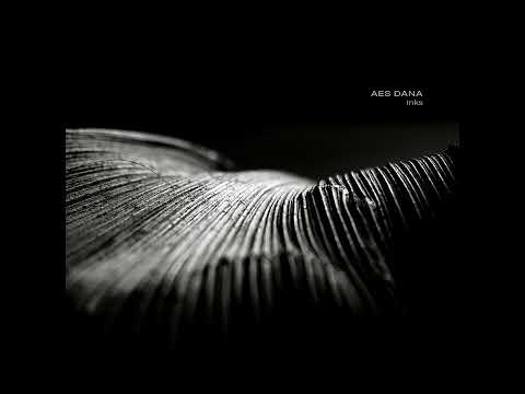 Aes Dana - Inks (2019) ambient | psydub | psychill | psybient | idm | psychedelic trance
