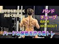 バンドで家でも鍛える背筋[Back Workout]