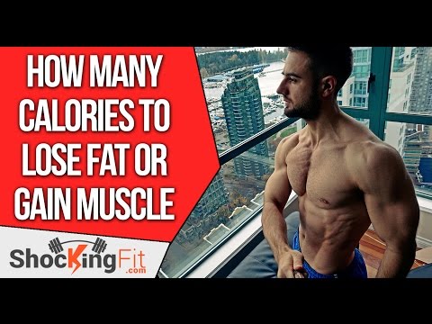 How Many Calories a Day to Gain Muscle or Lose Weight? Video