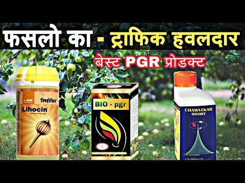 Basf Lihocin / Plant Growth Regulator / Crop Yield Booster