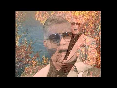 Toivo Nikopensius - Mäletad kevadet õites