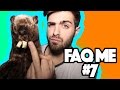 FAQ ME 7 - Leonardo Decarli 