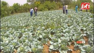 Sécurité alimentaire : focus sur les actions du PCRSS-Burkina dans les zones fragiles du Sahel