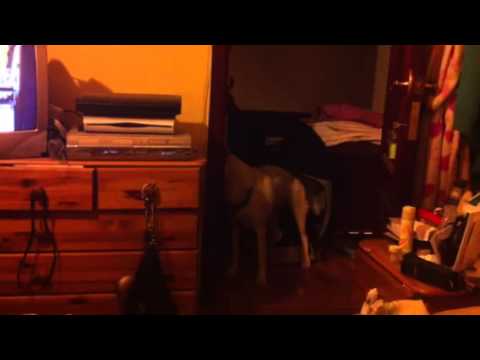 Nishka calling for Saachi to play