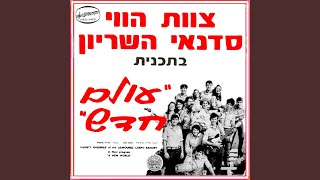 אין לי הרבה יותר