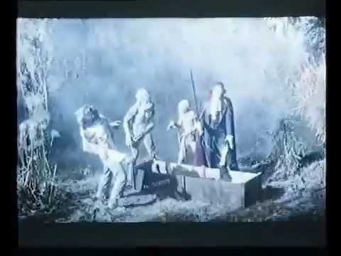 Una Pandilla Alucinante