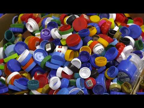 "Новае жыццё ў абмен на крышачкі". Школьнікі з Гомеля далучыліся да дабрачыннай акцыі видео