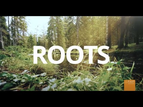 ROOTS