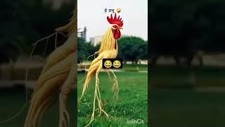 Download lagu #dineshcomedy #funny bagheli commedy Dinesh yadav 😂😂 mp3 Download lagu #dineshcomedy #funny bagheli commedy Dinesh yadav 😂😂 mp3