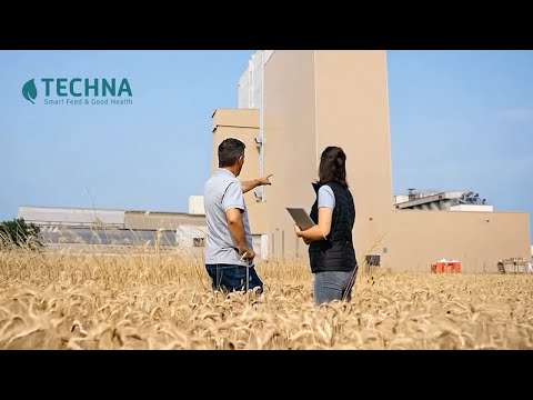 TECHNA CORPORATE VIDEO