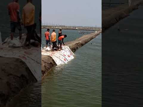 Zinga parsal and sogag