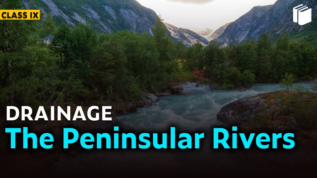 The Peninsular Rivers | Drainage | Chapter 3 - Geography | Class 9 | PuStack