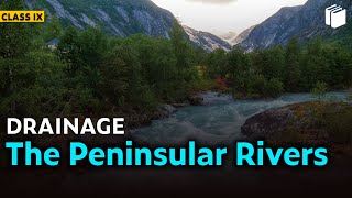 The Peninsular Rivers | Drainage | Chapter 3 - Geography | Class 9 | PuStack